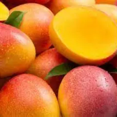 African Mango Seed