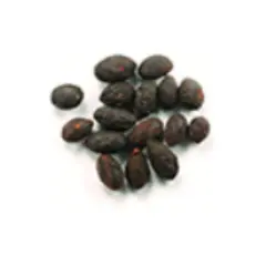 Saw Palmetto Extract