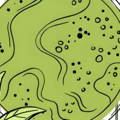 Greenselect Phytosome