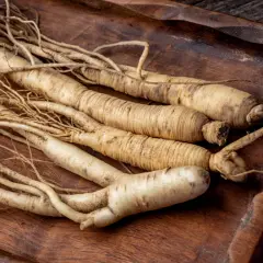 Panax Ginseng