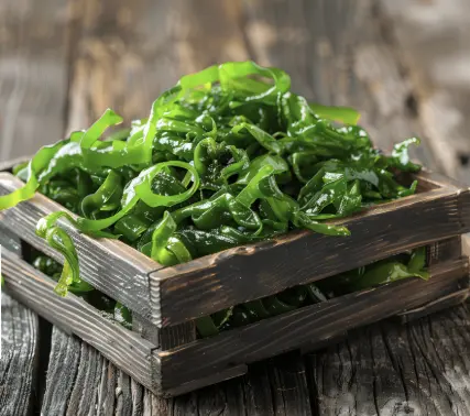Seaweed Extracts